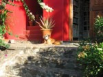 Betty Watches The beautiful Betty guards the treasures of El Refugio